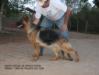 Bell do Rancho do Vale