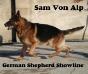 sam von Alp