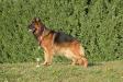 SG7 JHKL-LSTH BSZS 2014 Conan Rossburg