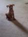 K.C.K. King Charles
