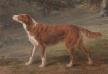 Ranger (c.1797) [Elizabeth Gray's]