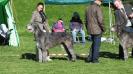Happy Harmony Roan Inish
