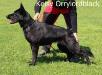 Keisy Orrylordblack
