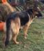  Daisy Monroe Duke