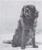  Pargeter Athos