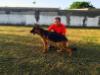 Willy do Guaricema