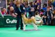  Hikays Turning Heads For Ruthdales