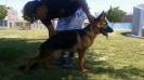 Nhala de K-9