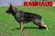Glitzer von Ramhaus