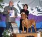 AKC & Hungarian Champion Tanakajd Szepe Zizi