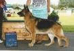 DAE CH Pleasant Hill's Madaline