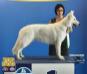 Jch-IT/JTOP DOG/ Ch-RSM-RSrb-BiH / GCh-BiH/ IntCh Cherokee Chaina Rayen