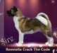  Reeviella Crack The Code