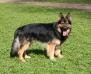 A big boy Hercules von Gigant- Fairytale