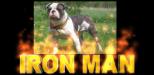 Jo-Lin's Iron Man Of Marvel's