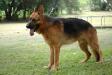  Cooper Z Pozarni Reka