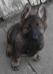 Suspect von Granville