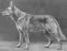 V Horst von Boll