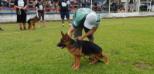Champ do Porto do Lobo