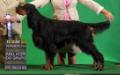 Misty Lake's New Star of Triaccan
