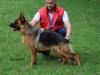 Jesica Vardar Wolf