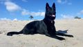 WAKA VON DER TETIAROA