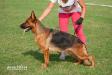 De Orse Mak Flai CHESTARI