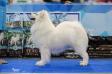 Siberian Fairytale iz Moskovskoy Metely
