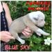  BDB BLUE SKY