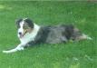  Saddleback Lewis Shye Skye