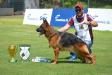 Falco do Gauguin