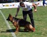 Roma Vardar Wolf House Jovanely