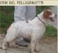 Cot.3/6 ERIK del Pellegrinotti