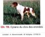  CYRANO du clos des erondes
