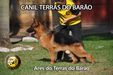 Ares do terras do barão