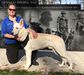 Rin-Tin-Tins Rin-Tin-Tin