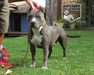 GANA PTO AMSTAFF DO JERIVÁ