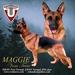  Maggie Vom Teero