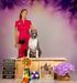 China Ch, GRCH, NBC, RUS,RKF,  JGRCH, NBC, RUS, RKF BAKARORO END ITUBORI LAND OF THE RISING SUN