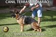 Greta do Terras do Barão