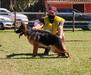 Femi do Recanto Fulgor de Minas