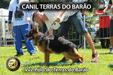 Pólo do Terras do Barão