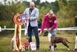 BIS,R.BISS. R.BIS.JUNIOR. INT.CH. MULTI CH. MULTI JUNIOR CH. Golden Falcon GOSPOZHA UDACHA