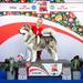 EW2018, Int.Ch,BkCh,CroCh,RoCh,BuCh,MCh,RoGCh,MGCh,BGCh Ice of Transylvania Kingwolf