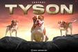  2ND2NO1 Tyson of platinum USA