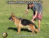 Quila do Terras do Barão