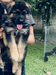 ELIAN VON HAUS ALEX