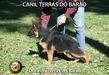Dora do Terras do Barão
