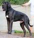  Eliseo-N Della Torre di Velia