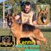 Lenna do Rancho dos Ipês